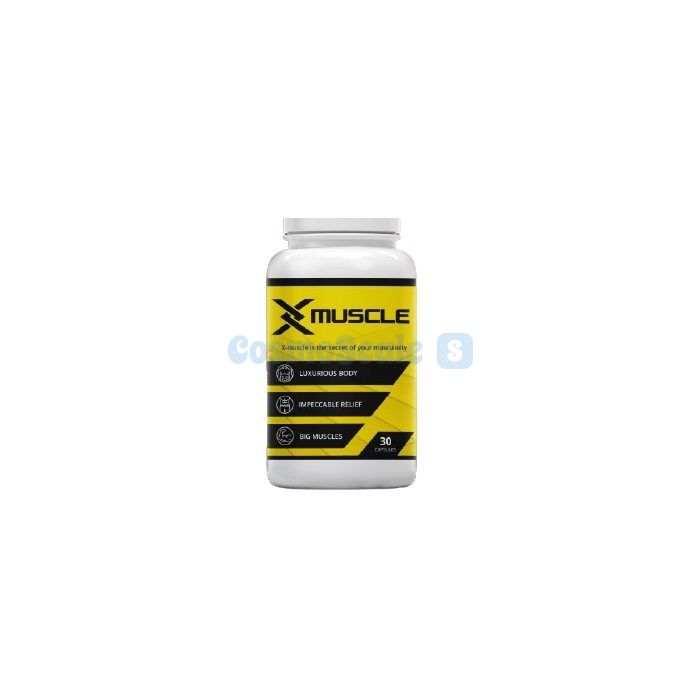 ✼ X-Muscle para construção muscular